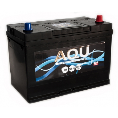 World Batt Standard 100 Ah 850 A