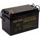 AGM 12V100Ah