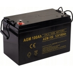 AGM 12V100Ah
